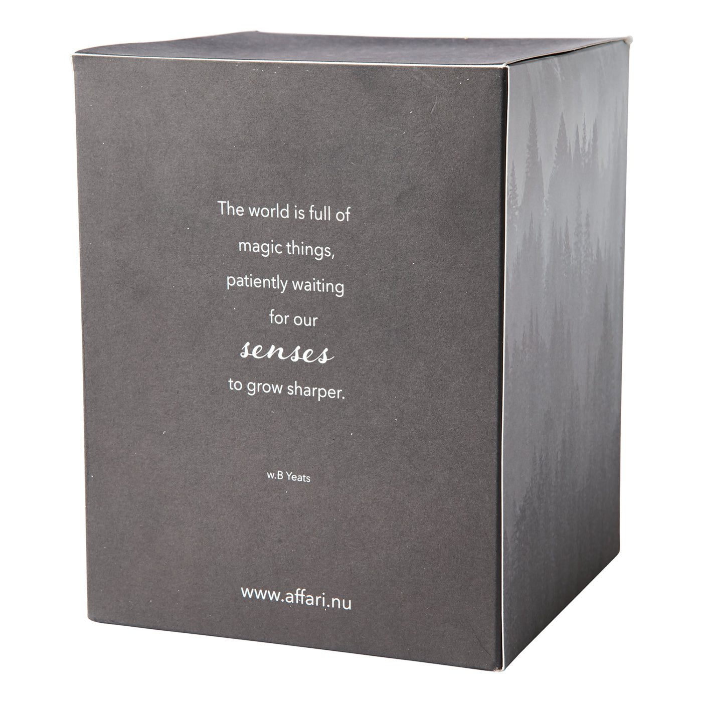 Vela Aromática SENSE Liquorice & Sandalwood, Negra con Campana