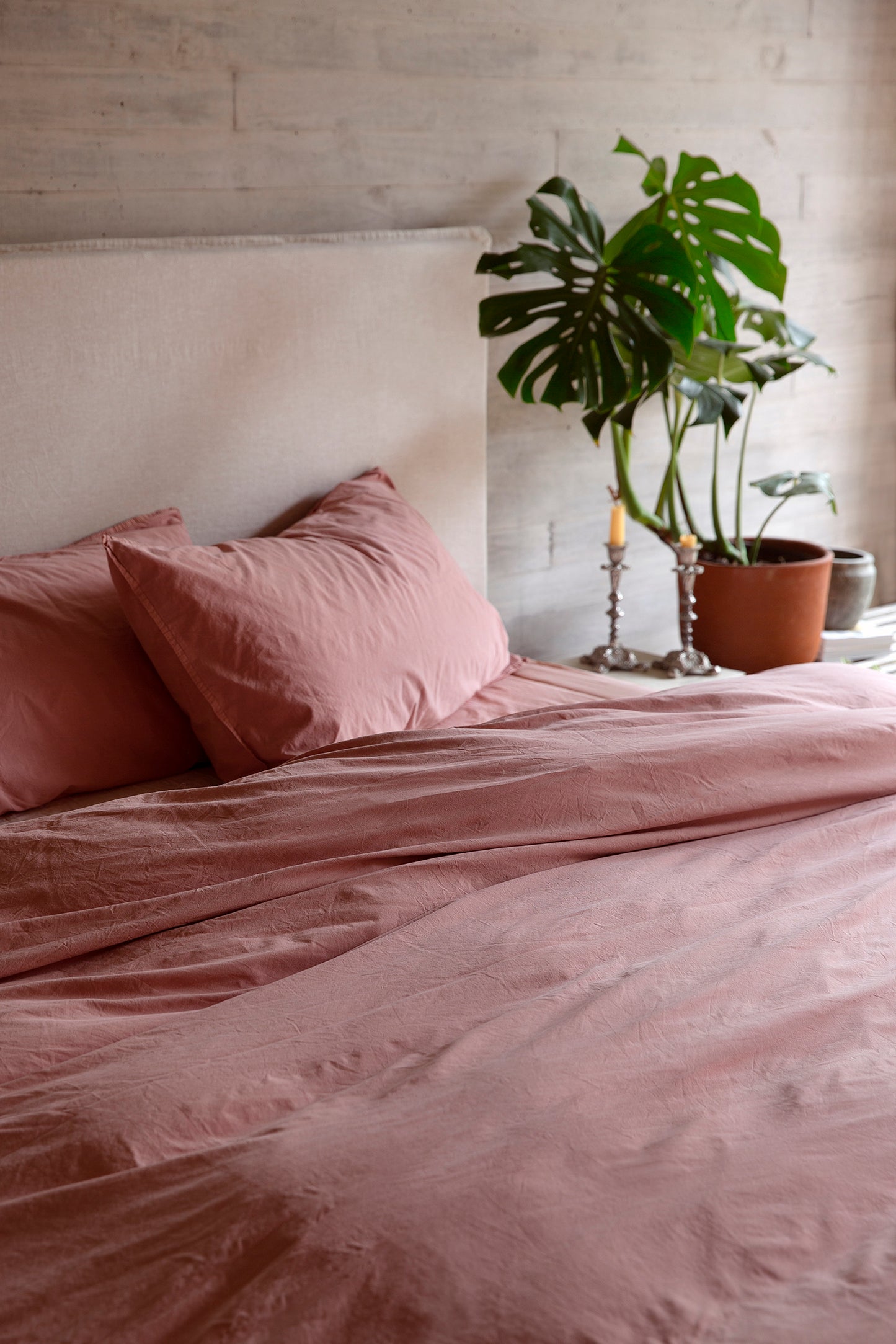 Funda de Plumón Algodón Percal Rosewood