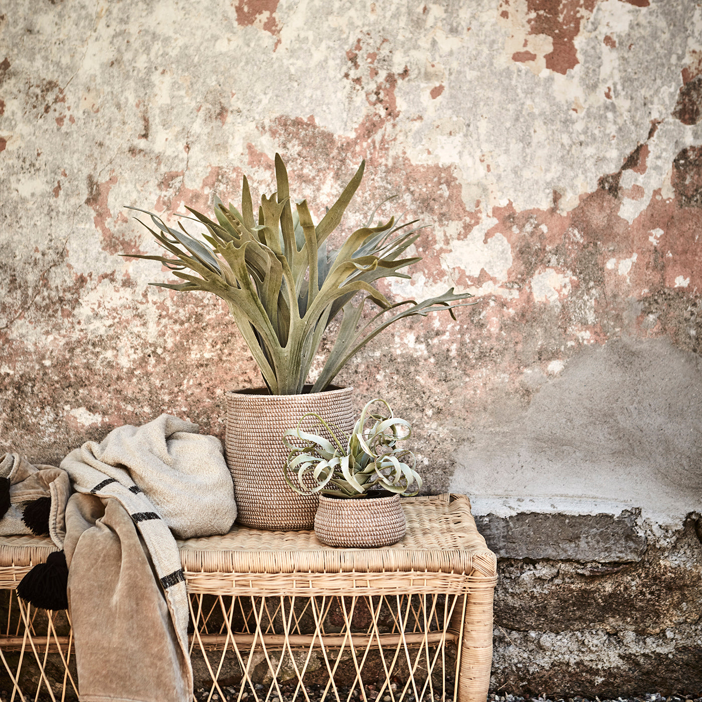 Camille Pot Terracota L Café