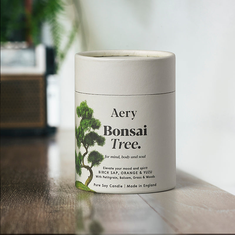 Bonsai Tree Vela Botanical Aery