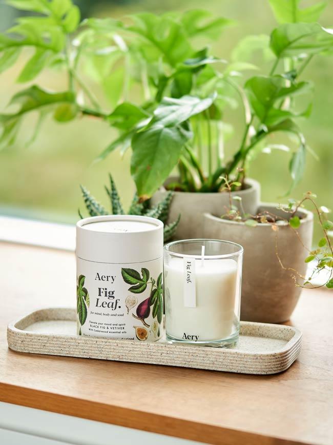 Fig Leaf Vela Botanical Aery