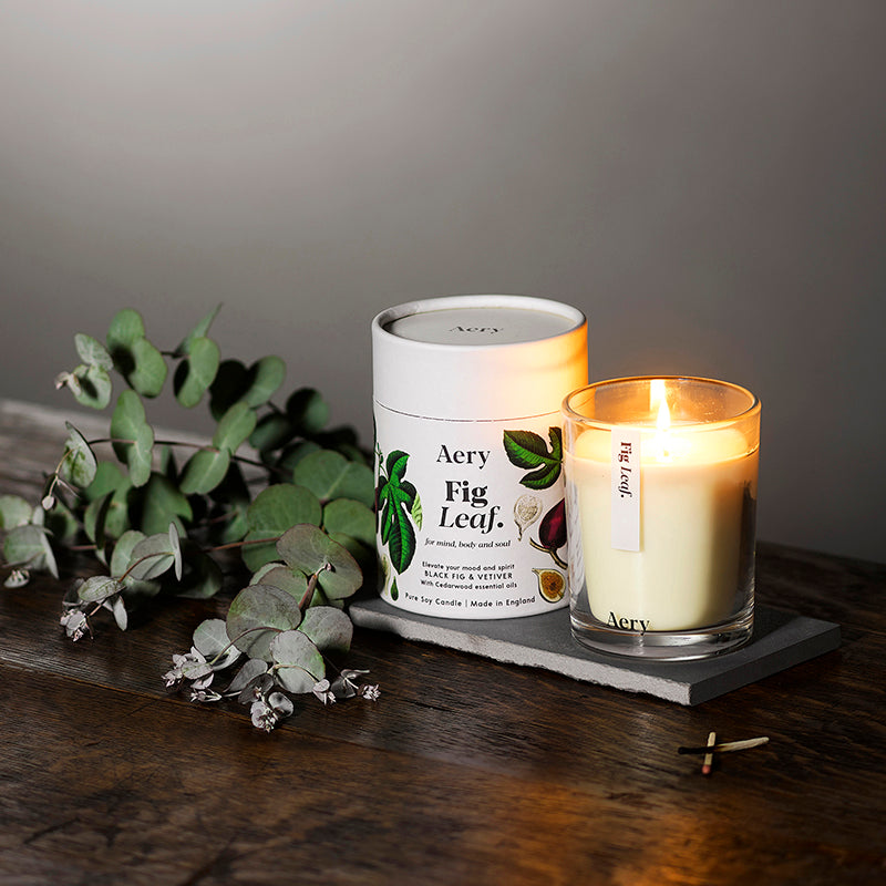 Fig Leaf Vela Botanical Aery