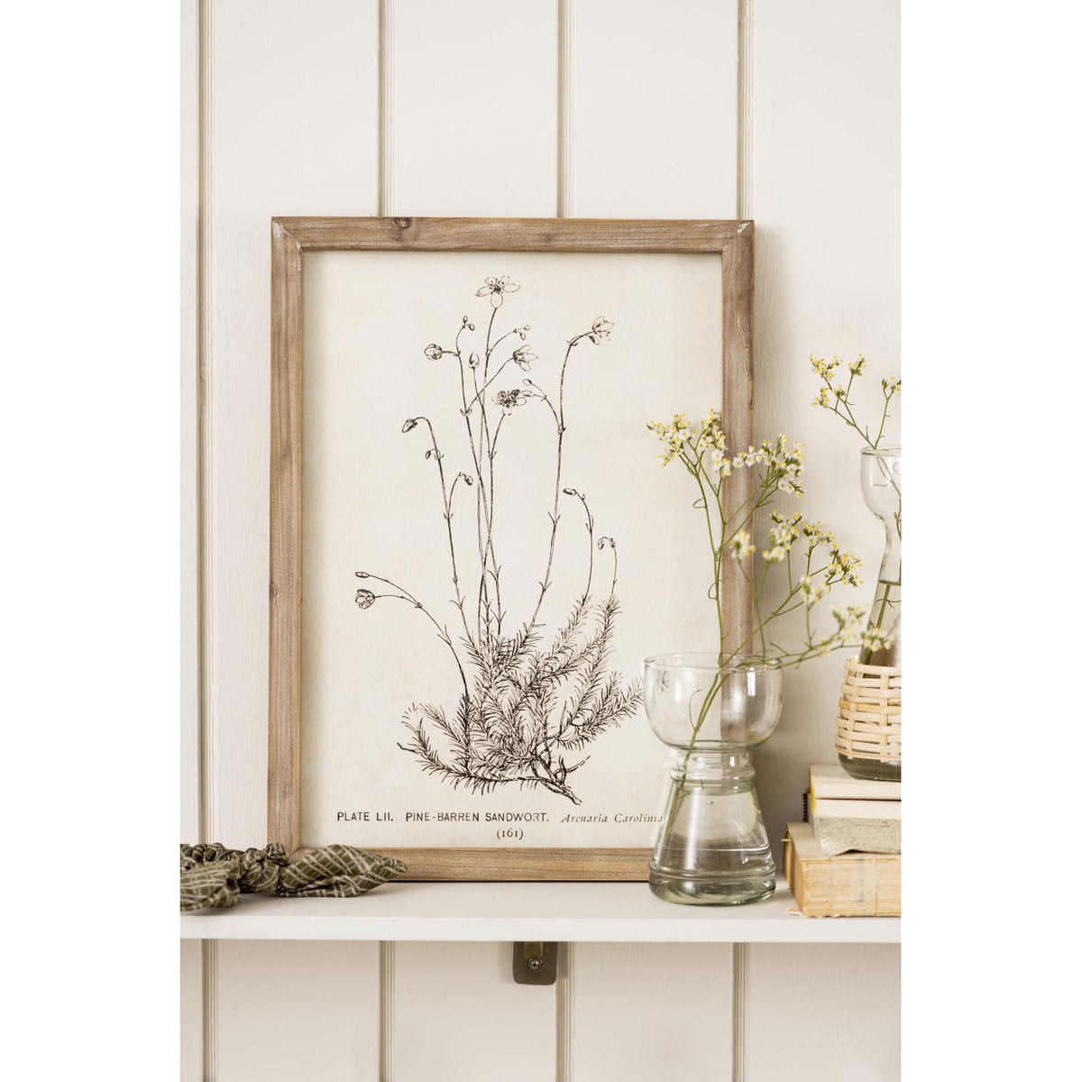 Florero de Vidrio HYACINTH Trofeo
