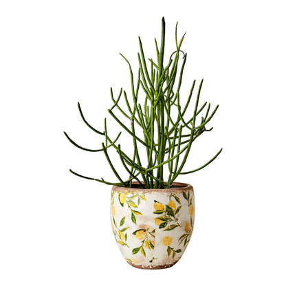 Maceta LEMONA Blanco/Verde/Amarillo H:17 cm