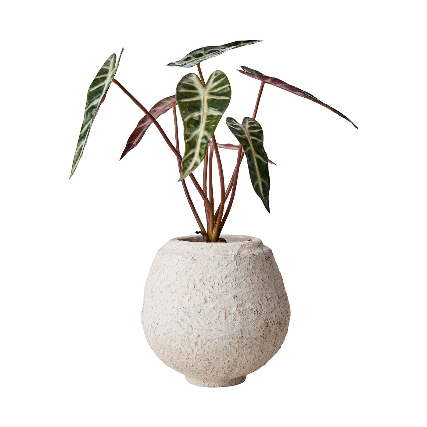 Maceta S, Blanco crudo CREAM, Ø16xH17 cm 