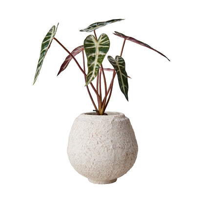 Maceta S, Blanco crudo CREAM, Ø16xH17 cm 