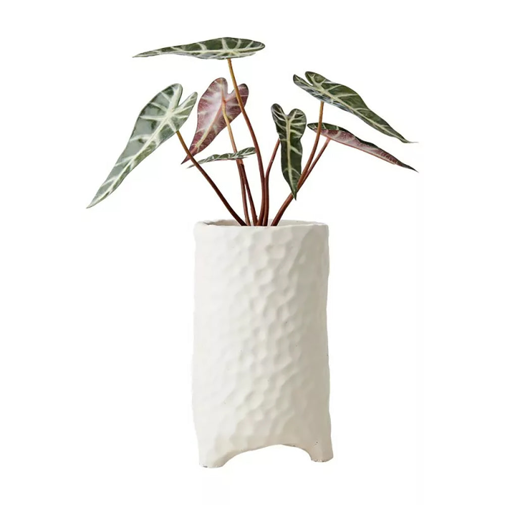 Maceta M, Blanco crudo CREAM, Ø14xH24 cm