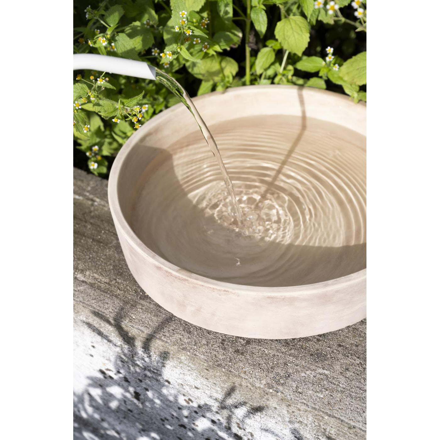 Bandeja  Birdbath Redonda Ø: 29,5 cm
