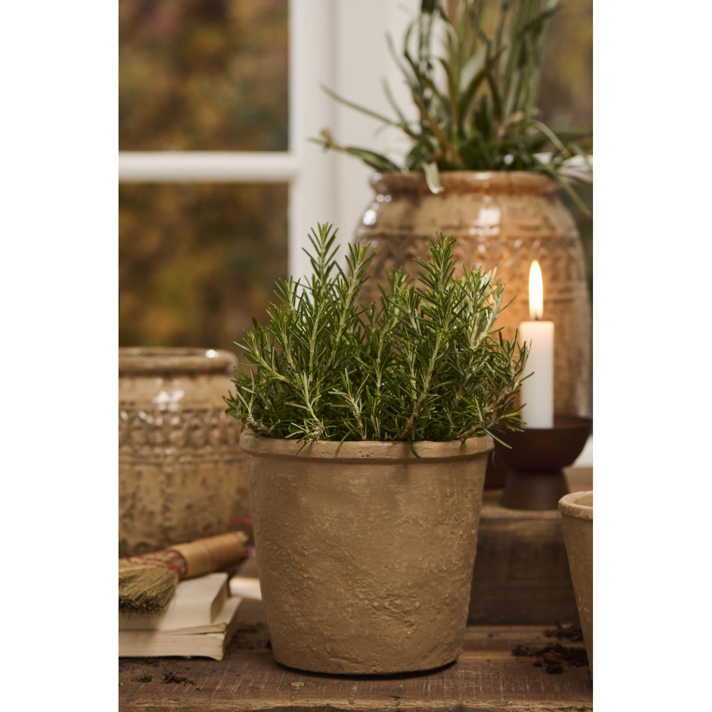 Maceta Cónica SAGA, H: 14,5 Ø: 15,5 cm