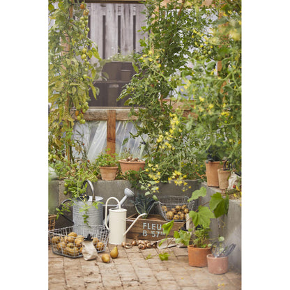 Pot Macetero de Arcilla