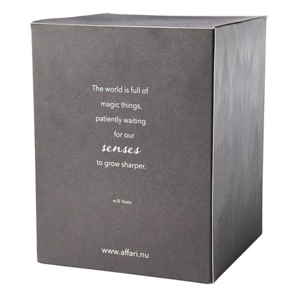 Vela Aromática SENSE Liquorice & Sandalwood, Negra con Campana