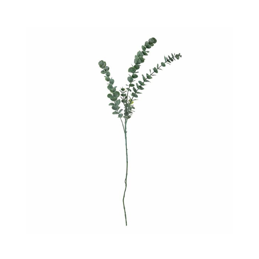Flores Eucalyptus Verdes, Ø19xH76 cm