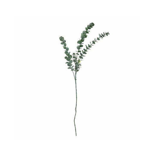 Flores Eucalyptus Verdes, Ø19xH76 cm