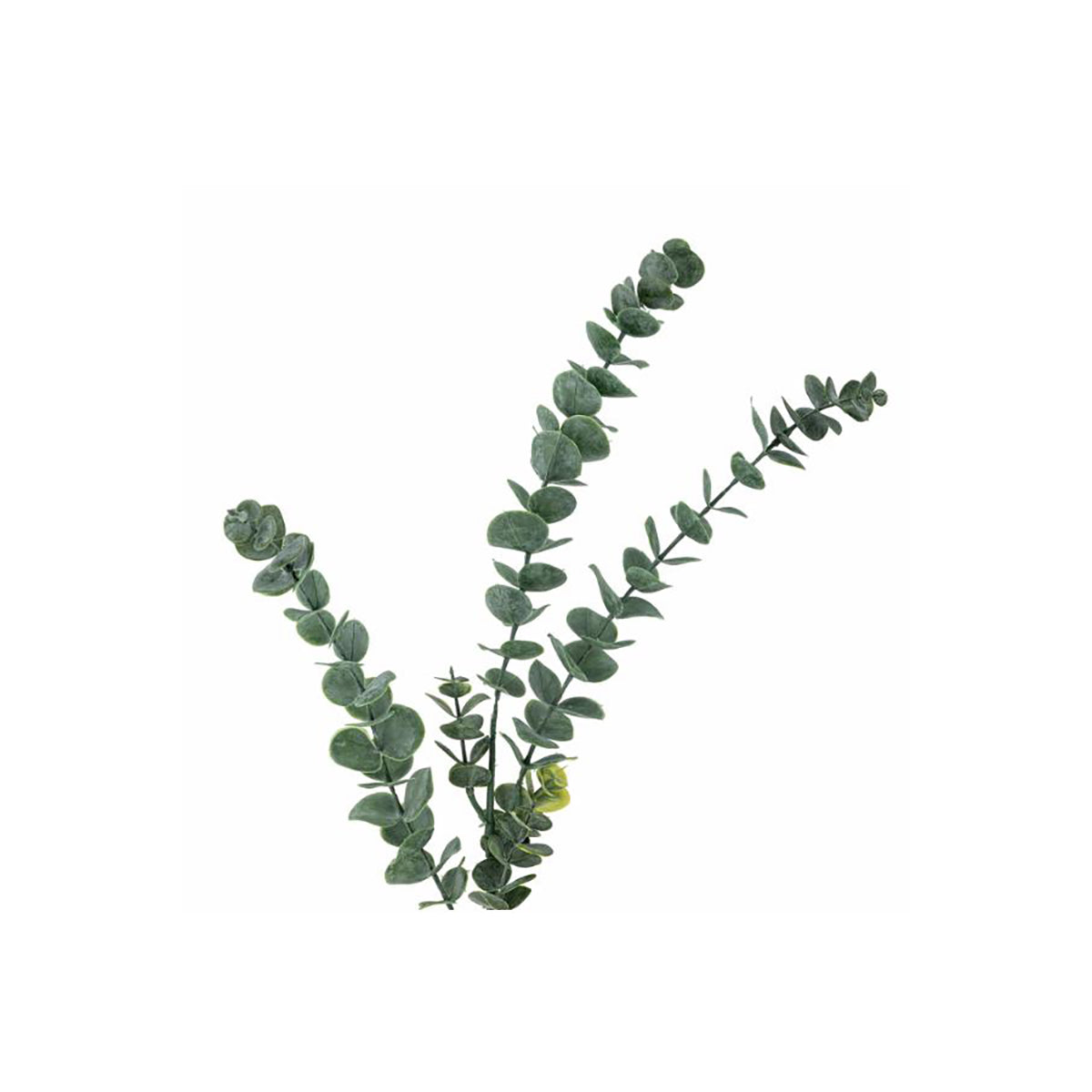 Flores Eucalyptus Verdes, Ø19xH76 cm