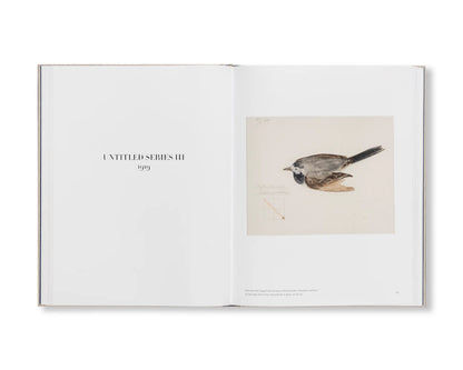 Libro Hilma af Klint Vol.V - Geometric Series and Other Work