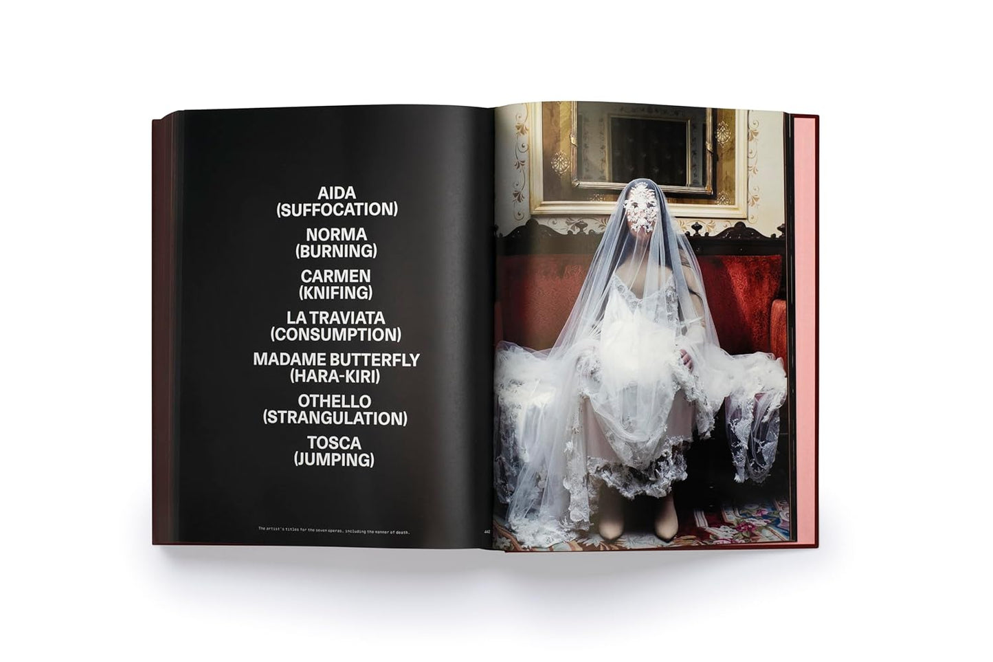 Libro Marina Abramovic - A Visual Biography
