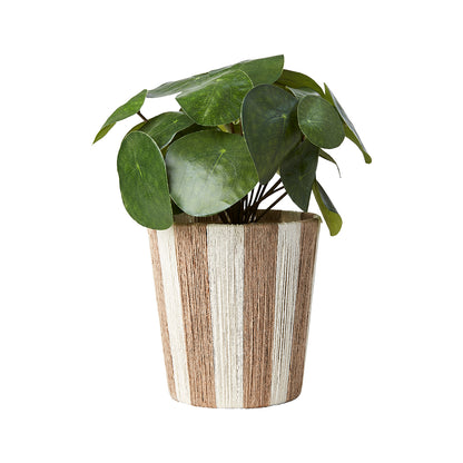 Maceta JULLAN, Marfil/Natural, Ø11/15xH15 cm