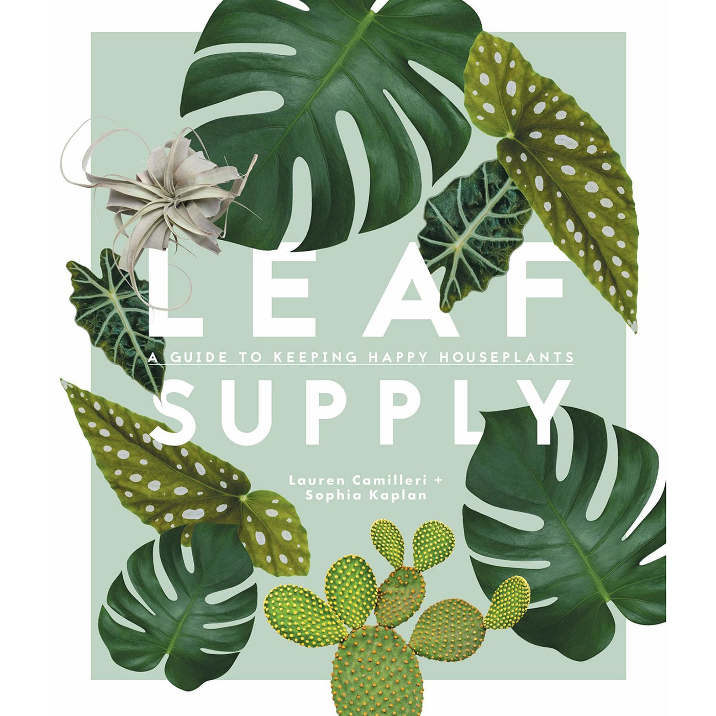 Libro Leaf Supply
