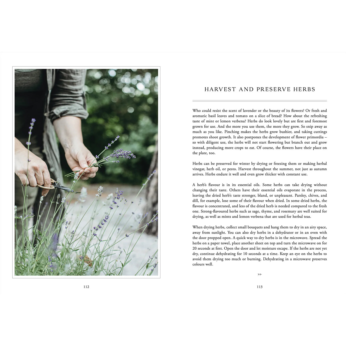 Libro Living with Herbs