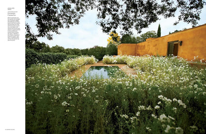Libro Architectural Digest at 100: The Collector's Edition
