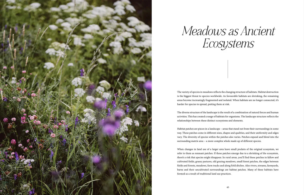 Libro Where Flowers Bloom