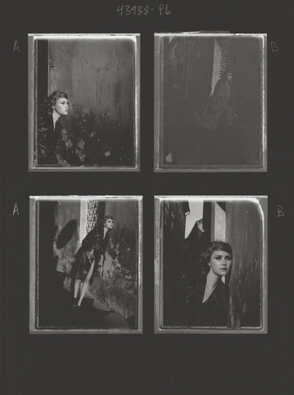 Libro In My Dream Last Night