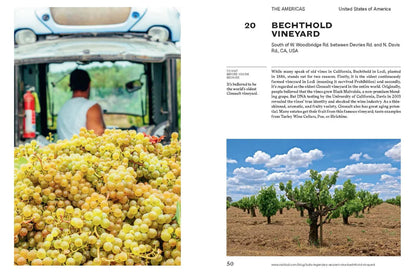 Libro 150 Vineyards