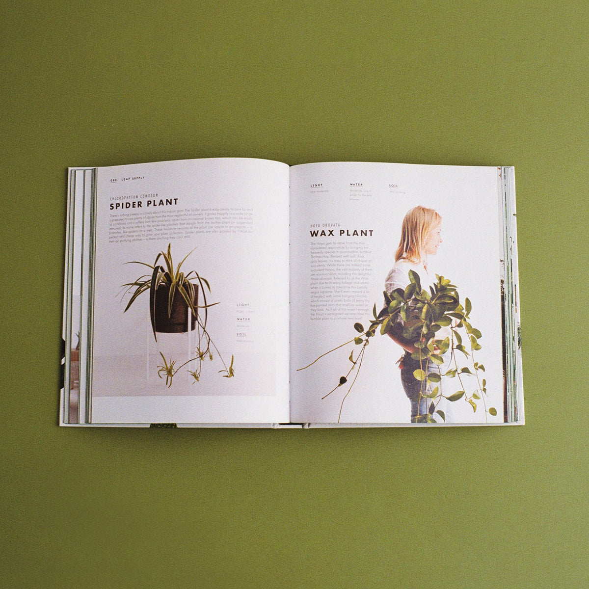 Libro Leaf Supply