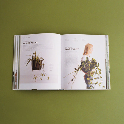 Libro Leaf Supply