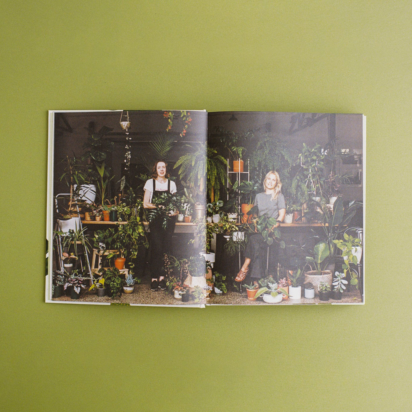 Libro Leaf Supply