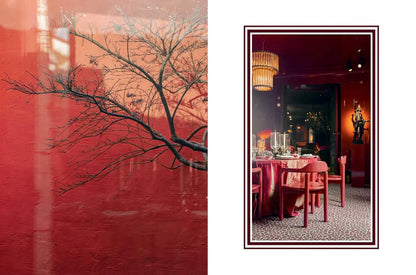 Libro Grand Interiors