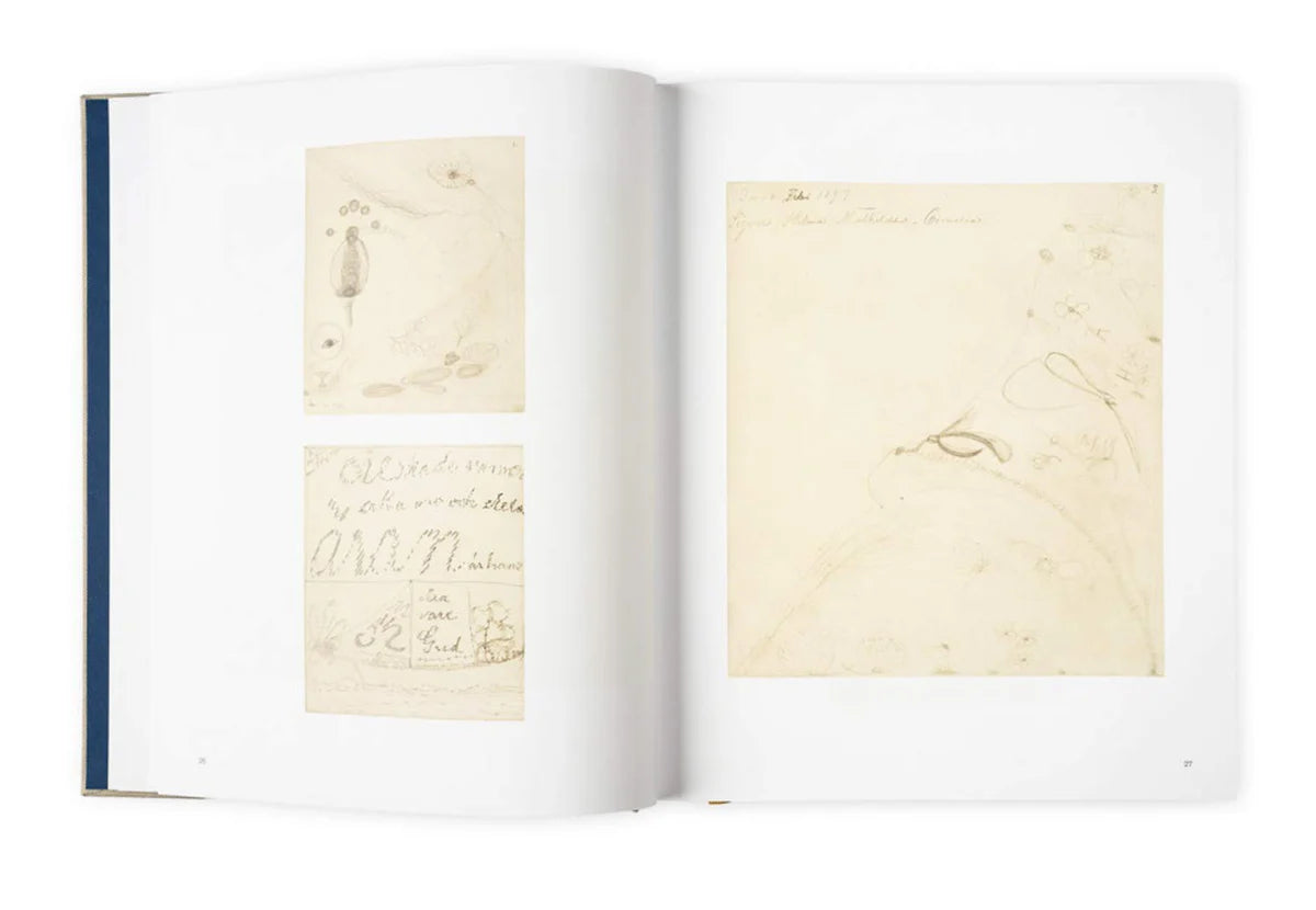Libro Hilma af Klint Vol. l - Spiritualistic Drawings