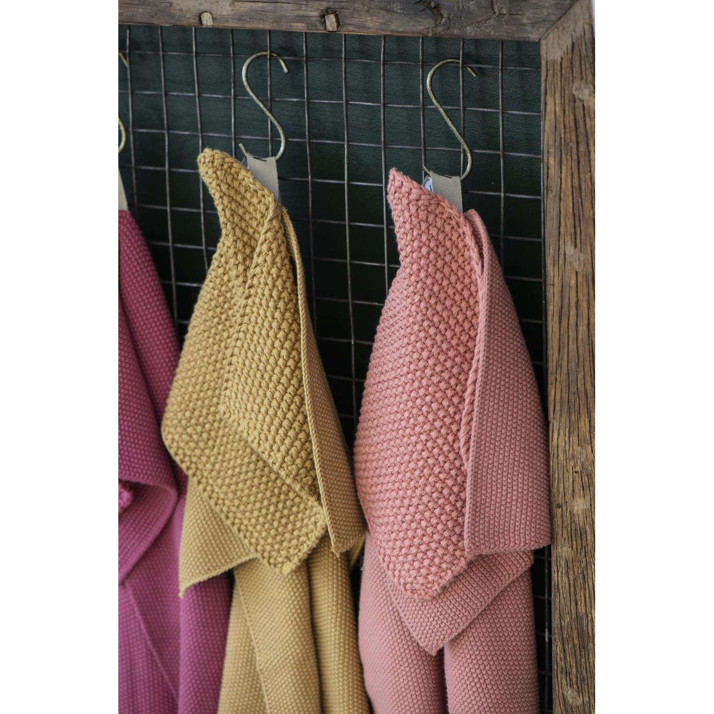 Tomaollas Mynte Mostaza