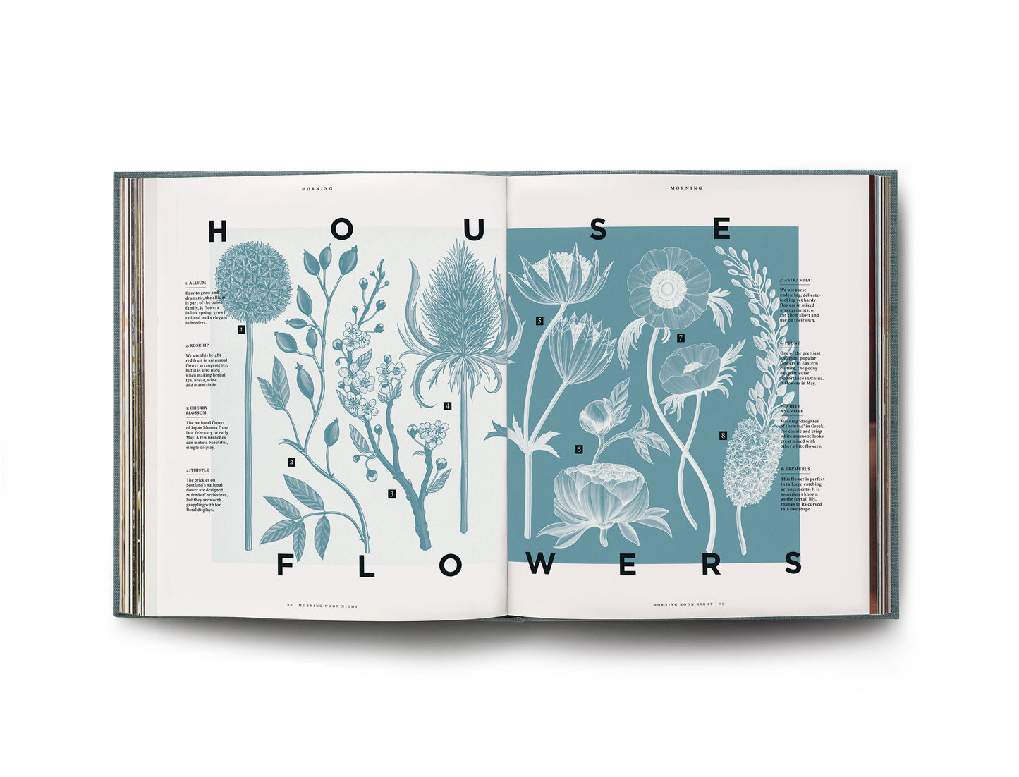 Libro Morning Noon Night: A Way of Living