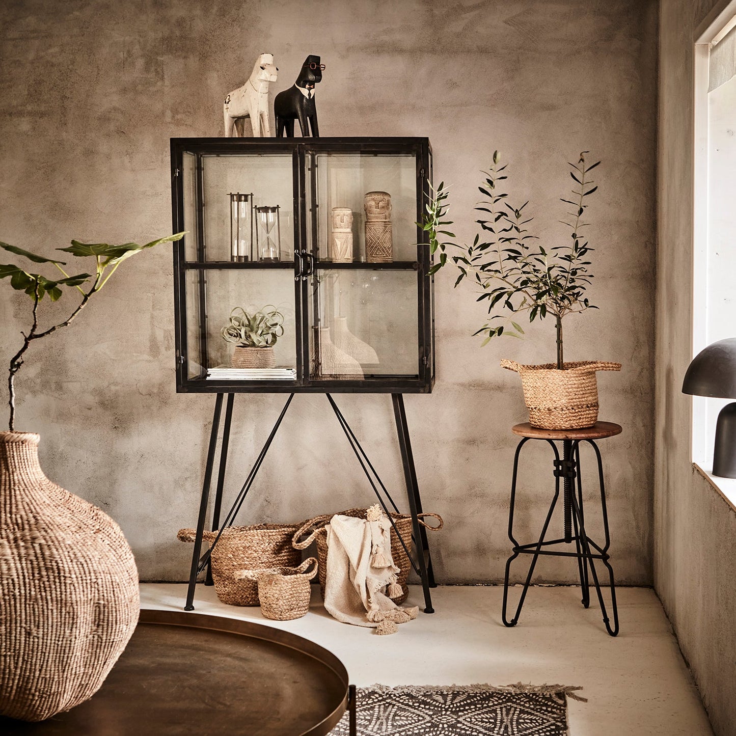 Caballo Gentleman FALE