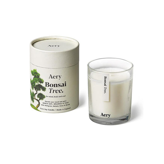 Bonsai Tree Vela Botanical Aery