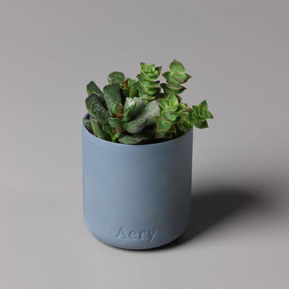 Japanese Garden Vela Fernweh Aery